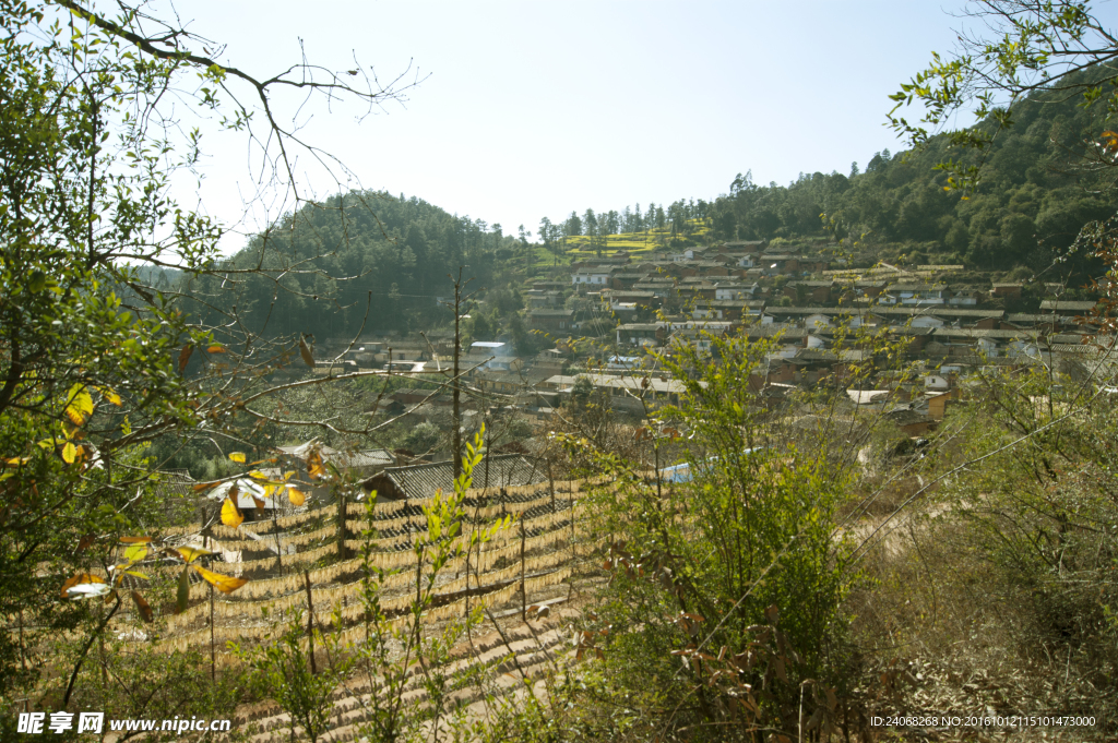 光山村风景