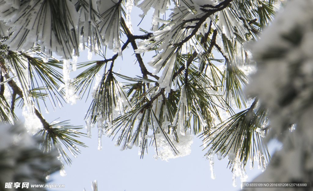 雪景