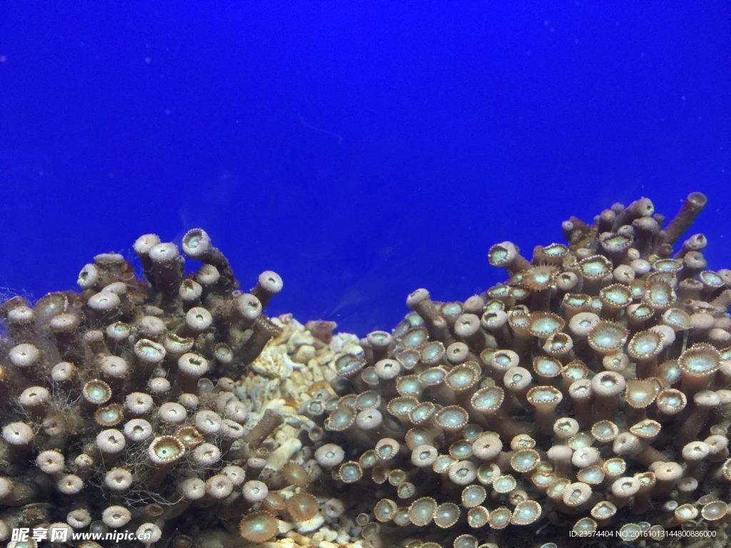 海底世界海洋馆