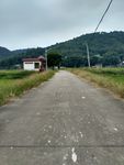 乡村小路