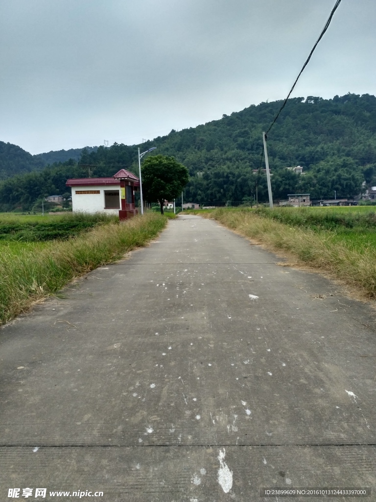 乡村小路