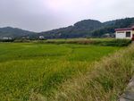 山川的田野