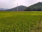 山川的田野