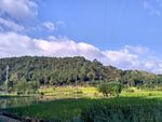 山川的田野