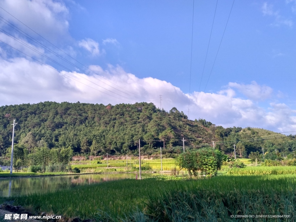 山川的田野