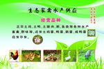 生态家禽水产供应