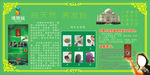 塔娜丝天然植物染养发海报