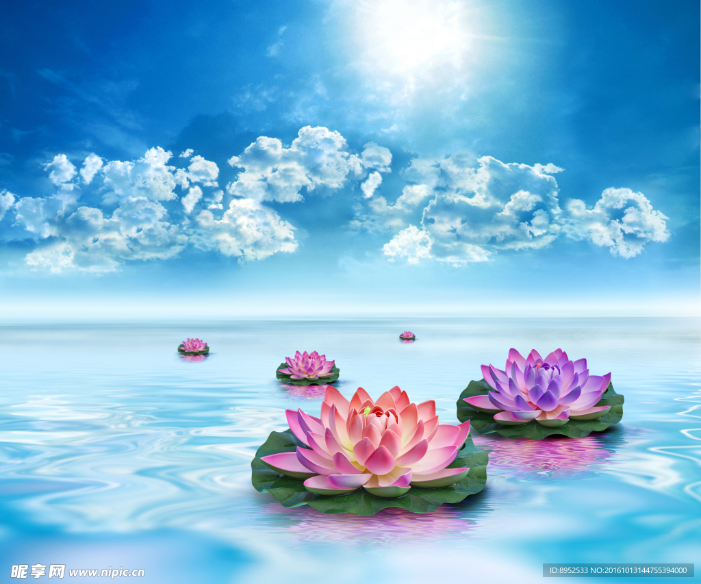 莲花