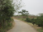 小路