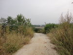 路