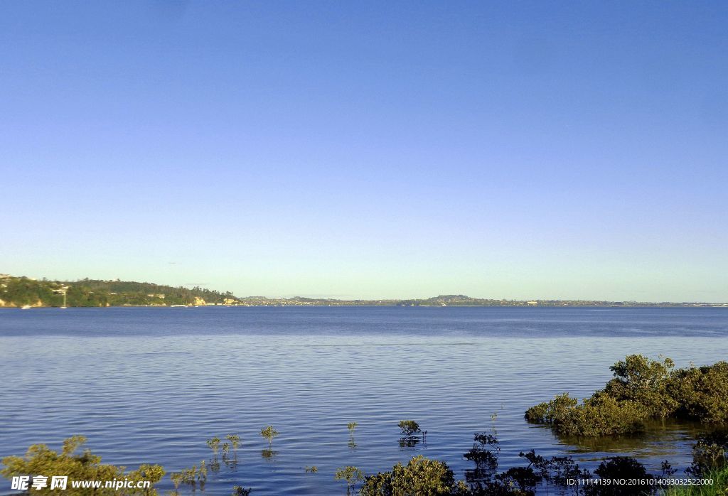 奥克兰海滨风景