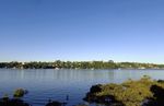 奥克兰海滨风景