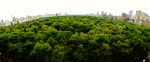 城市风景