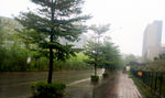 雨中深圳一角