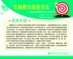 定向靶点绿色疗法