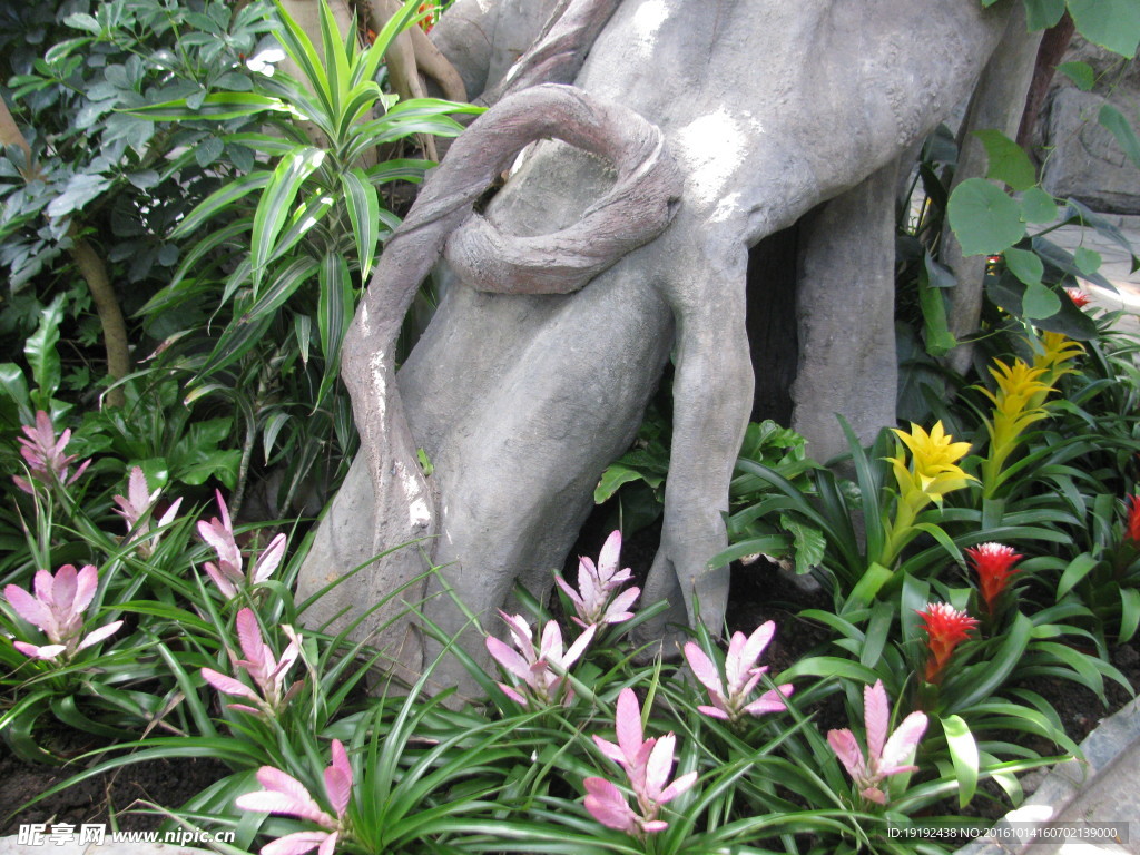 花坛