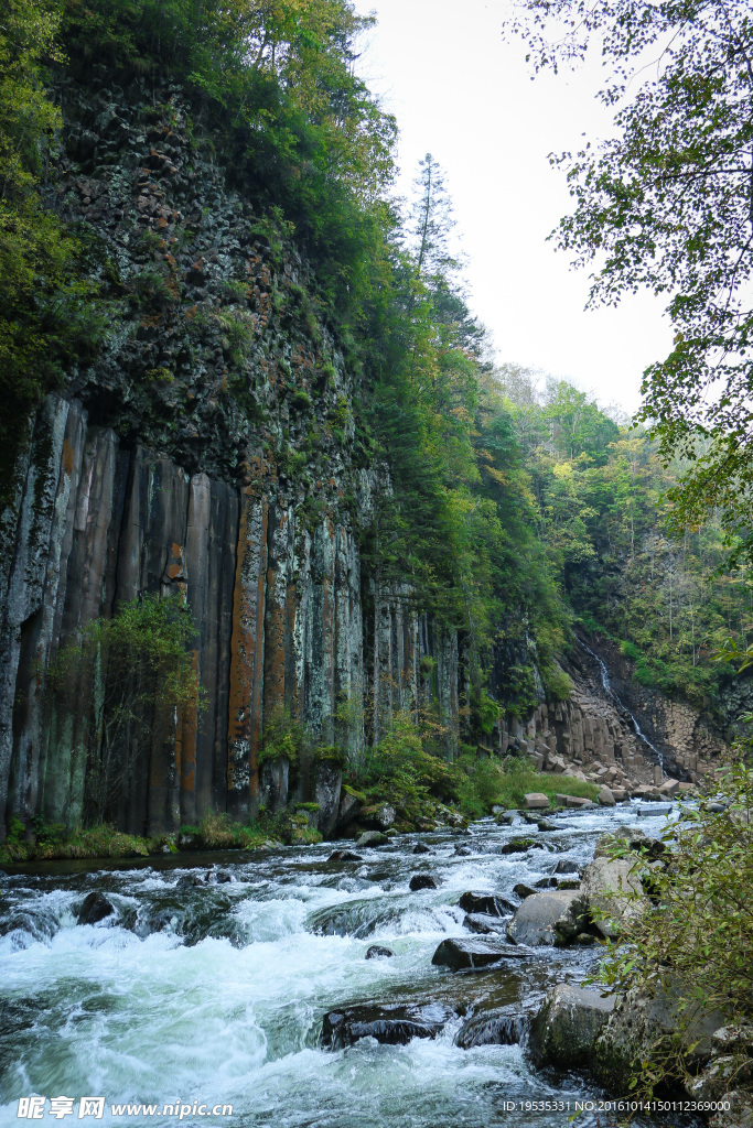 长白山望天鹅风景区