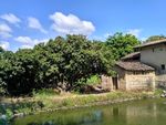 黄泥砖房屋