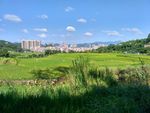 乡村田野