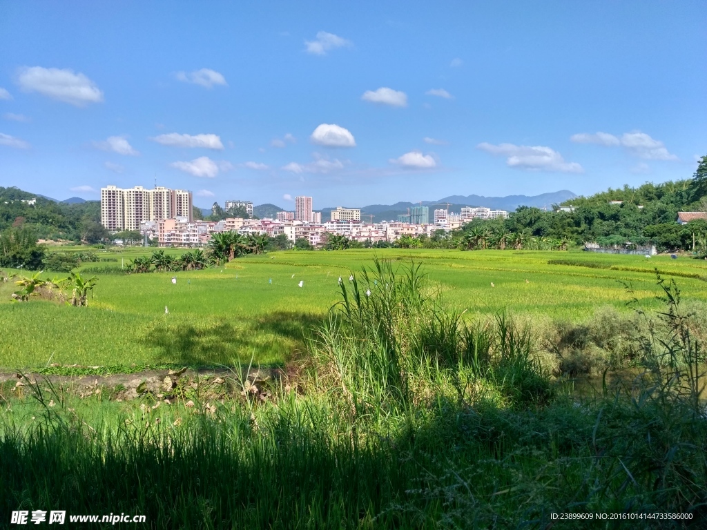 乡村田野