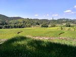 山川的田野