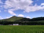 山川的田野