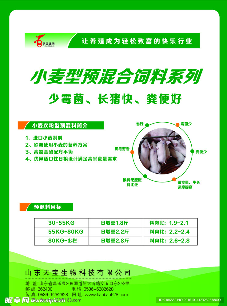 猪饲料 单页