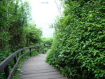 山路