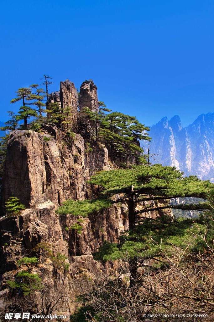 黄山雪景