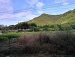山川的田野