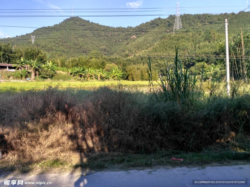 山川的田野