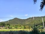 山川的田野