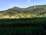 山川的田野