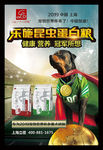 乐施昆虫蛋白粮