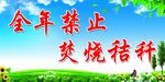 全年禁止焚烧秸秆