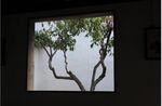 画中景