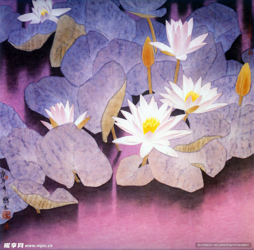 荷花