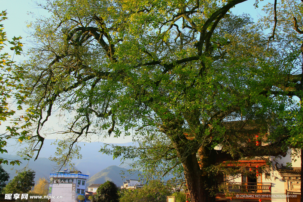 宏村风景高清图