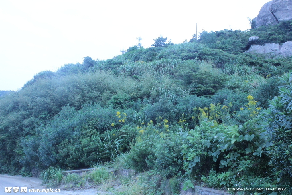 东极岛