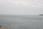 东极岛大海