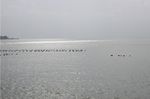 东极岛大海