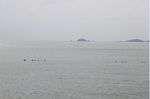 东极岛大海