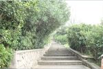 东极岛小路