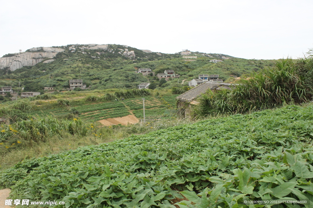 东极岛