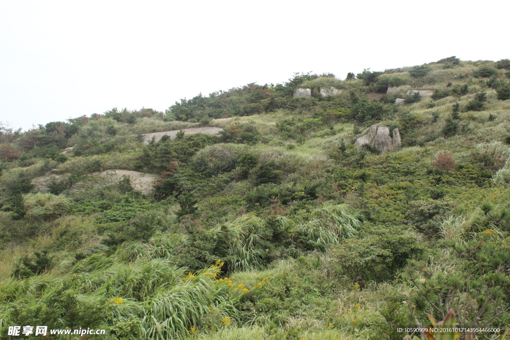 东极大山