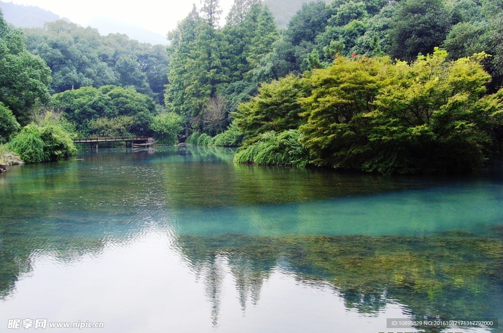 西湖龙井茶之乡