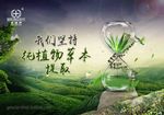 植物提取海报