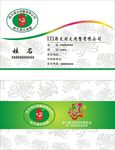 简单名片