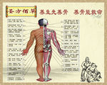 人体脊椎示意图