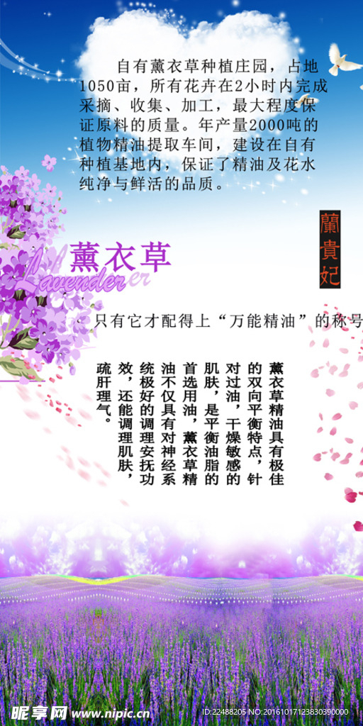 薰衣草精油